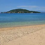 Sea & Olive - Modern Near