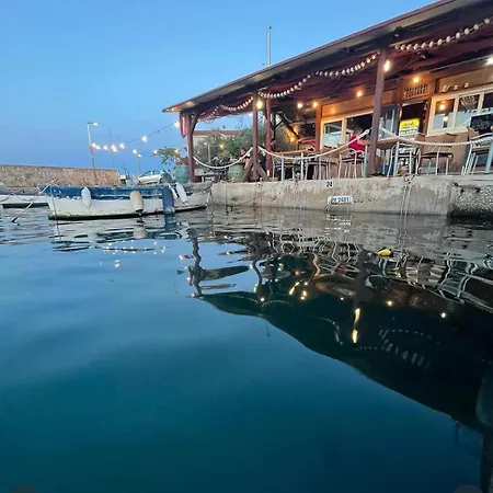 Sea & Olive - Modern Near كالي