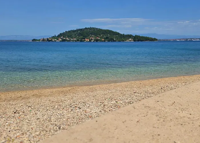 Sea & Olive - Modern Near