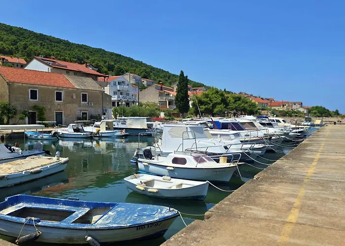 Sea & Olive - Modern Near