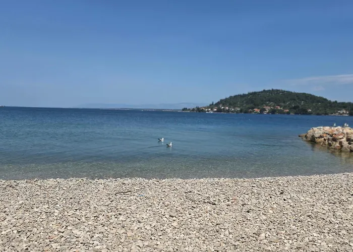 Sea & Olive - Modern Near شقة *